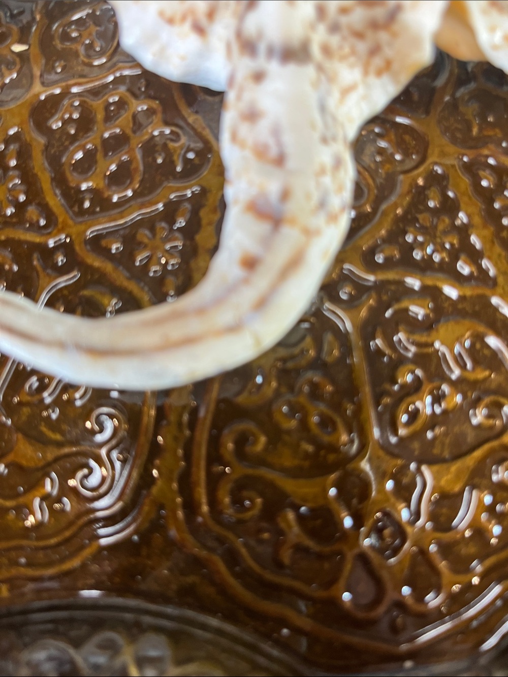 Shell - Picture 4 of 4